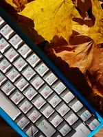 image for an item
